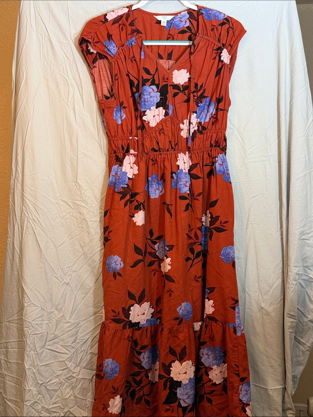 Time and Tru Rust Floral Maxi Dress with Blue & Pink Blooms